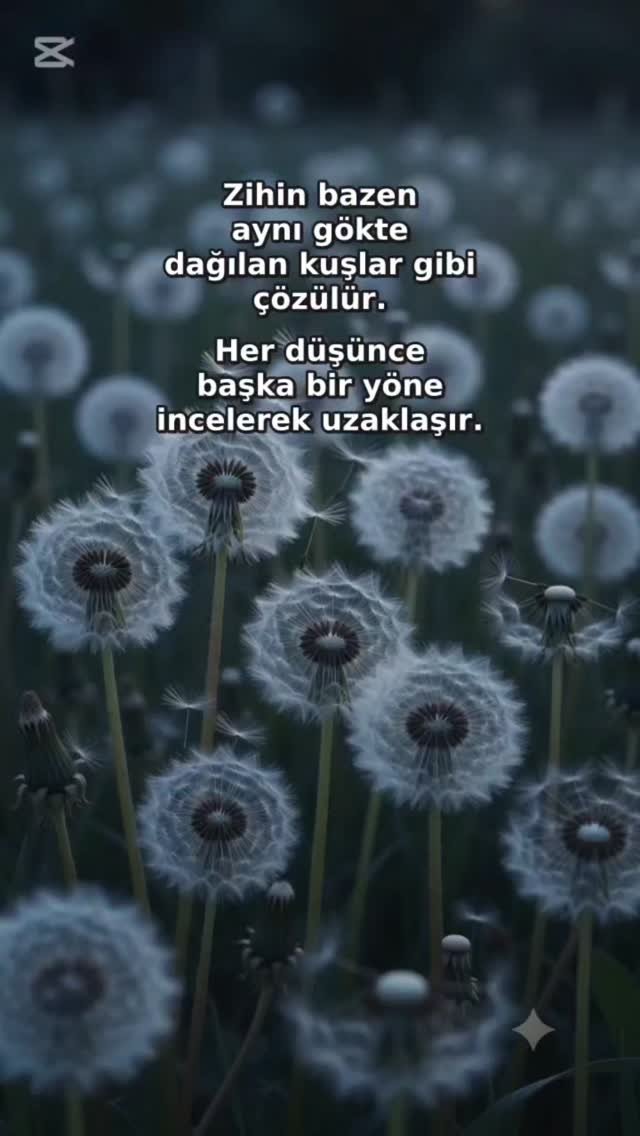 Zihin bazen dağılır… 
Düşünceler karmaşıklaşır ve farklı yönlere savrulur, 
İnsan kendinden uzaklaşmış gibi hisseder. 

Ama her dağılmanın içinde 
yeniden toparlanmaya çağıran sessiz bir çağrı vardır.