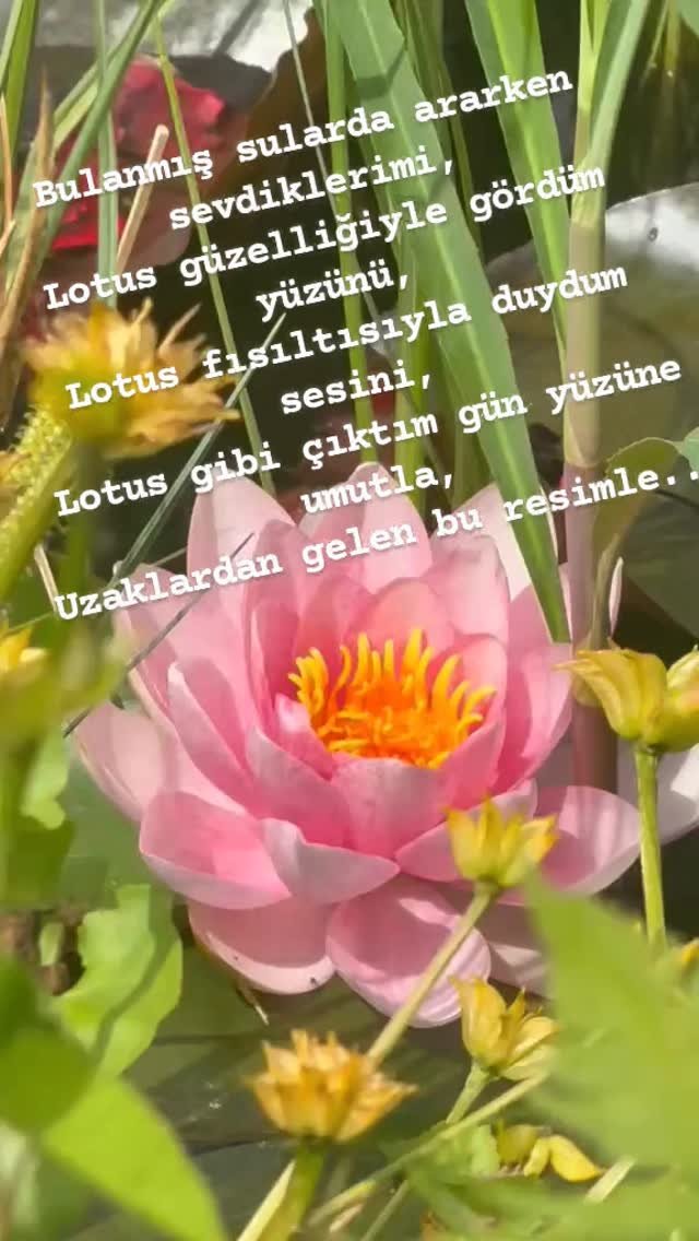 Geçen zamanın,
en sevmediğim yanlarından birisi 
geride kalanlar, uzakta olanlar...

Öyle güzel kalplere
denk gelmişiz ki sıcaklığını
kalbimizde hissetmişiz.
Derdiyle dertlenmis, 
sevinciyle gülmüşüz 